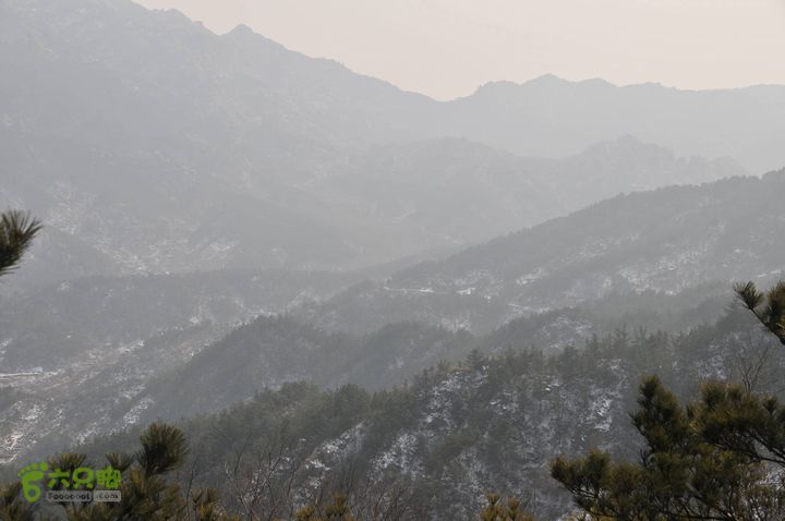 北头村-张家村-躲荒崮-青峰顶-柳树台DSC_8985_眸目压缩