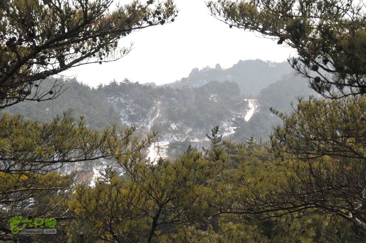 北头村-张家村-躲荒崮-青峰顶-柳树台DSC_8991_眸目压缩