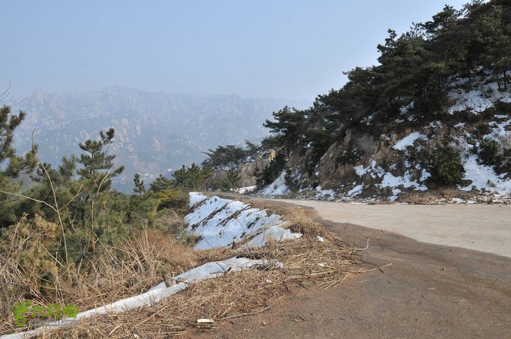 北头村-张家村-躲荒崮-青峰顶-柳树台DSC_8997_眸目压缩