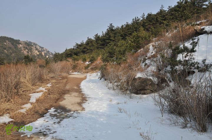 北头村-张家村-躲荒崮-青峰顶-柳树台DSC_8998_眸目压缩