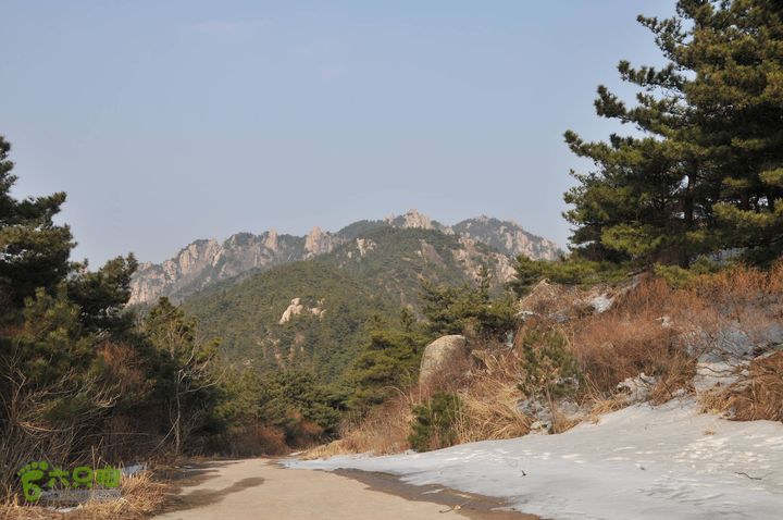 北头村-张家村-躲荒崮-青峰顶-柳树台DSC_8999_眸目压缩