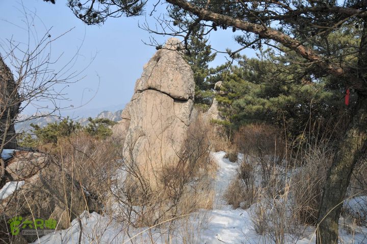 北头村-张家村-躲荒崮-青峰顶-柳树台DSC_9003_眸目压缩