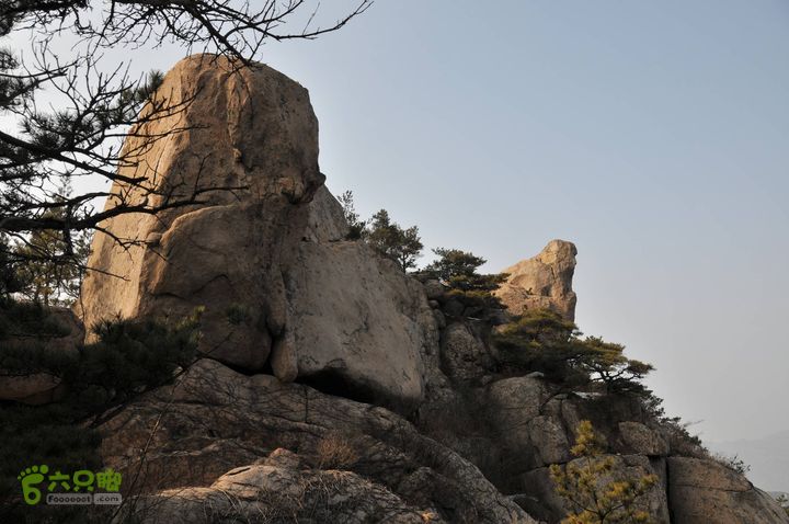 北头村-张家村-躲荒崮-青峰顶-柳树台DSC_9009_眸目压缩