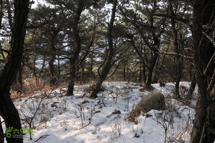 北头村-张家村-躲荒崮-青峰顶-柳树台DSC_9010_眸目压缩