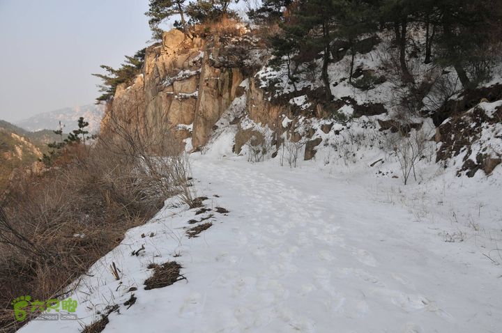 北头村-张家村-躲荒崮-青峰顶-柳树台DSC_9016_眸目压缩