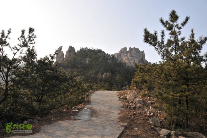 北头村-张家村-躲荒崮-青峰顶-柳树台DSC_9021_眸目压缩