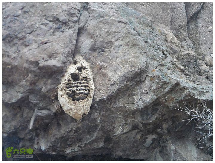 鱼水洞，骆驼山，蜡仟山，琉璃庙SAM_3465