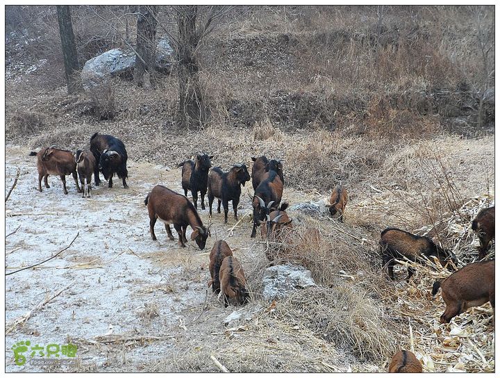鱼水洞，骆驼山，蜡仟山，琉璃庙SAM_3471