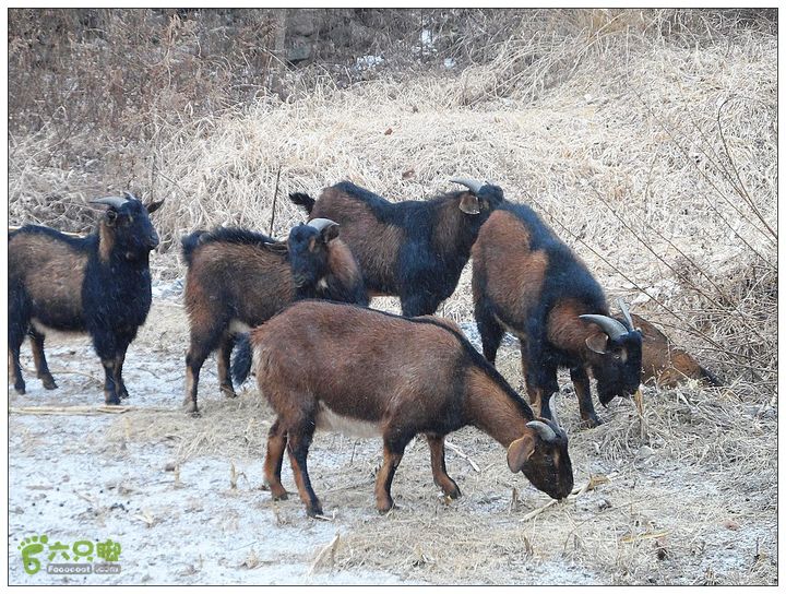 鱼水洞，骆驼山，蜡仟山，琉璃庙SAM_3472