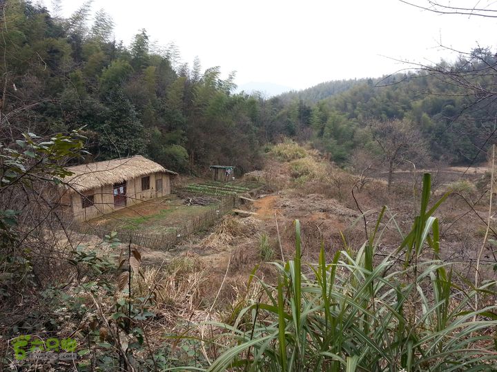 寻访CCTV4远方的家《明月之下有奇山》蟠龙寺农禅生活20140222_095933.0578