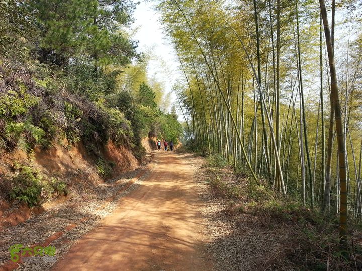 寻访CCTV4远方的家《明月之下有奇山》蟠龙寺农禅生活20140222_115523.4E06
