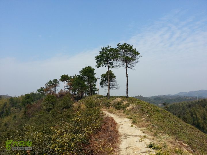 寻访CCTV4远方的家《明月之下有奇山》蟠龙寺农禅生活20140222_121222.9143