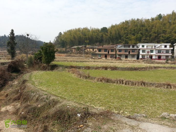 寻访CCTV4远方的家《明月之下有奇山》蟠龙寺农禅生活20140222_124153.1890
