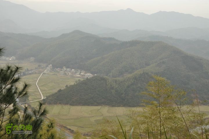 寻访CCTV4远方的家《明月之下有奇山》蟠龙寺农禅生活QQ图片20140223110349