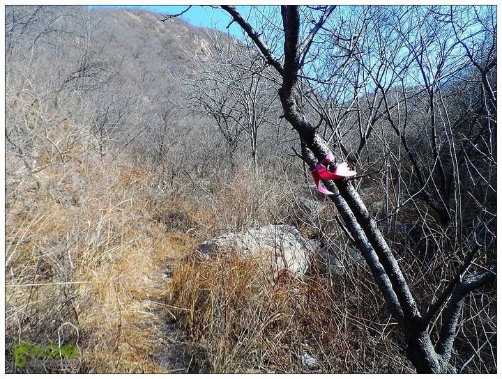 居庸关，九仙庙，西三岔，果庄SAM_3552