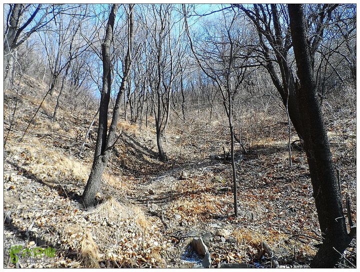 居庸关，九仙庙，西三岔，果庄SAM_3557