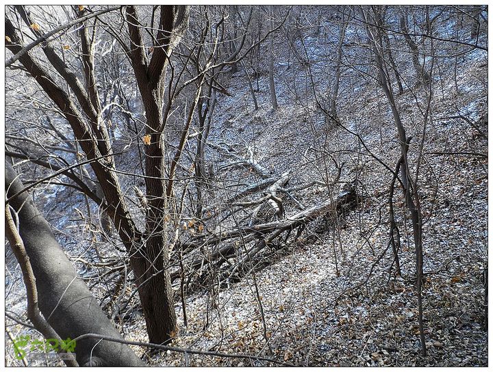 居庸关，九仙庙，西三岔，果庄SAM_3558