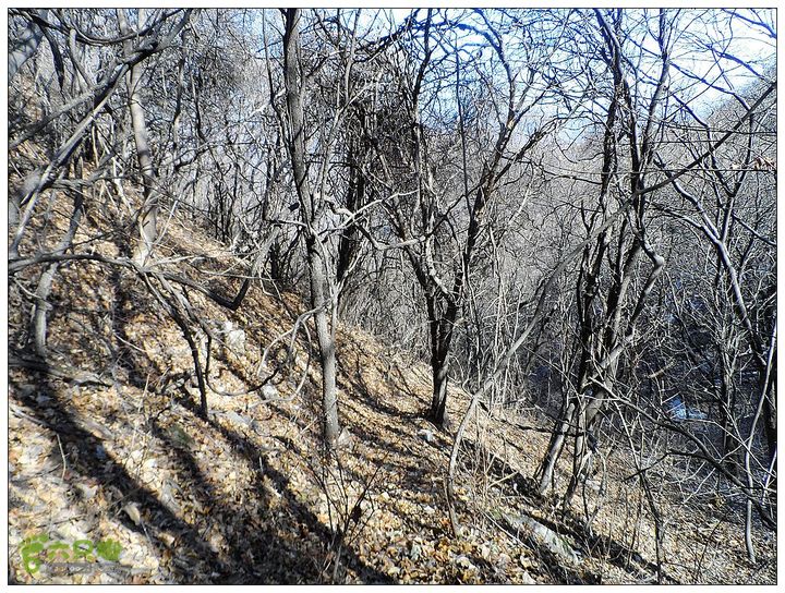 居庸关，九仙庙，西三岔，果庄SAM_3559