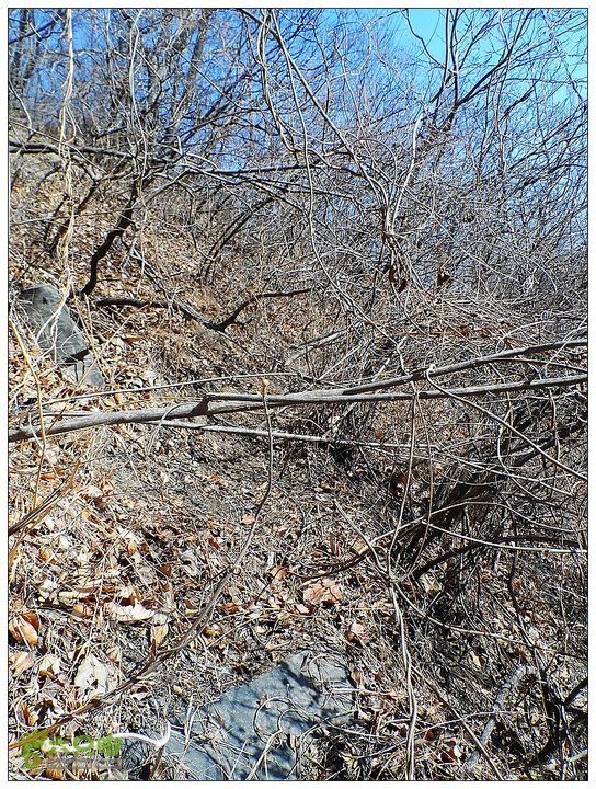 居庸关，九仙庙，西三岔，果庄SAM_3561