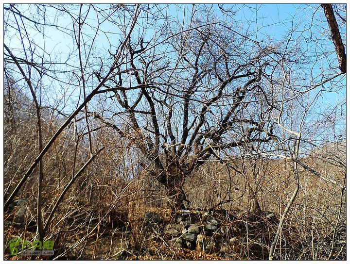 居庸关，九仙庙，西三岔，果庄SAM_3566