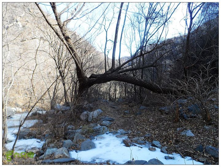 居庸关，九仙庙，西三岔，果庄SAM_3568