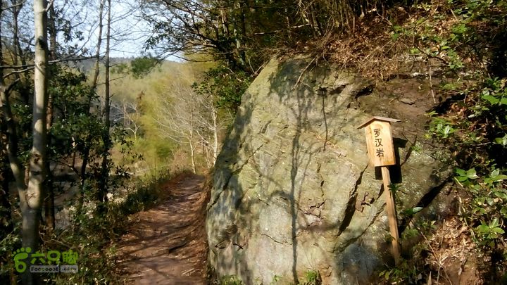 龙观阳堂古道半山村中坡山森林公园大松湾古道环线加菜交坑环线