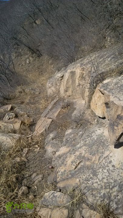 田庄-南山村-狼雁小道-神泉峡-炭厂2014-03-01 13:05:18