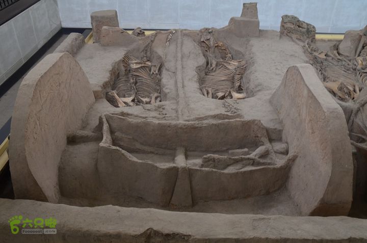 龙窝酒、车马坑、石婆庙DSC_0177