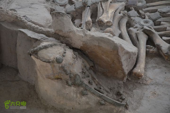 龙窝酒、车马坑、石婆庙DSC_0169