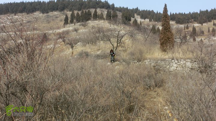 招夫寨完整CIMG6736