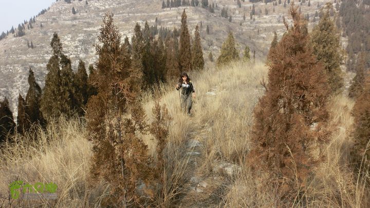 招夫寨完整CIMG6748