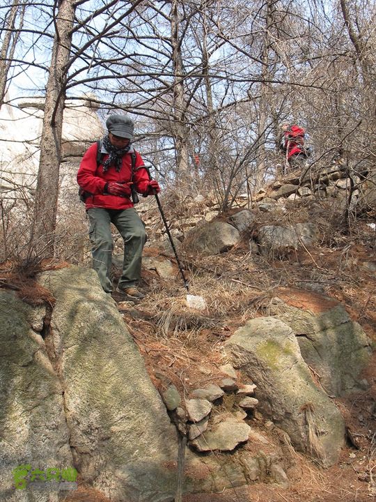 大河东-黑风口-121号电杆-虔女洞-石屋荆棘遍布