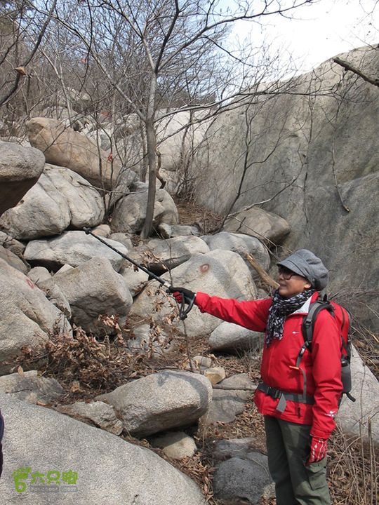 大河东-黑风口-121号电杆-虔女洞-石屋应当从这里下来