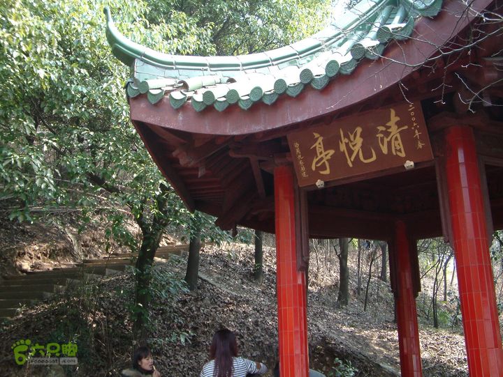 桃花盛开的地方---无锡阳山DSCF0101