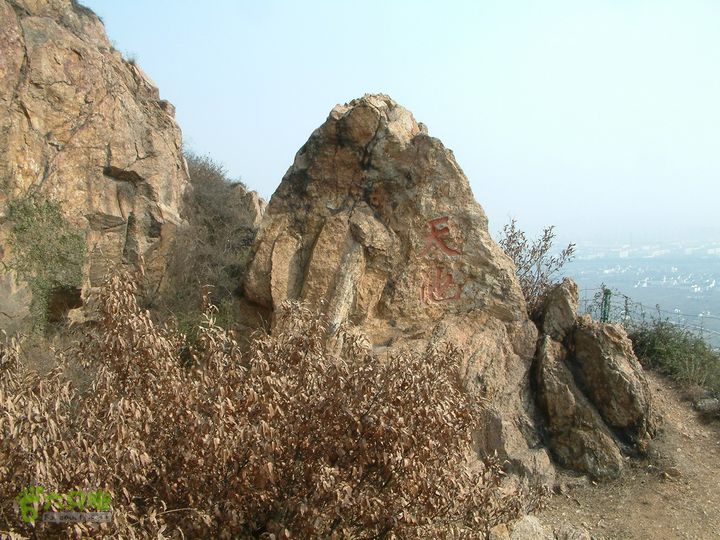 桃花盛开的地方---无锡阳山DSCF0132