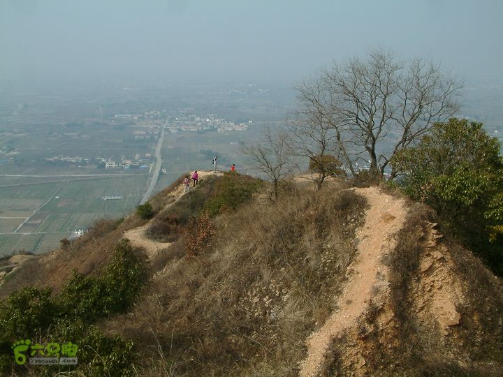 桃花盛开的地方---无锡阳山DSCF0146