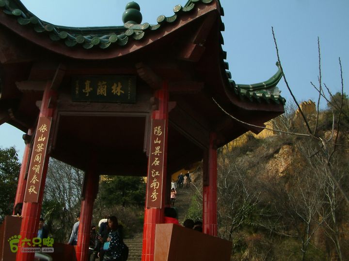 桃花盛开的地方---无锡阳山DSCF0159