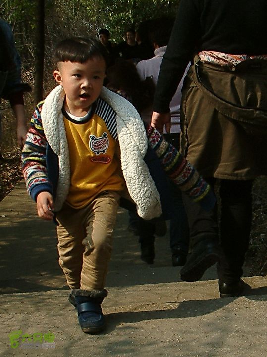 桃花盛开的地方---无锡阳山DSCF0162
