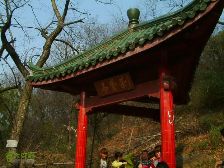桃花盛开的地方---无锡阳山DSCF0168