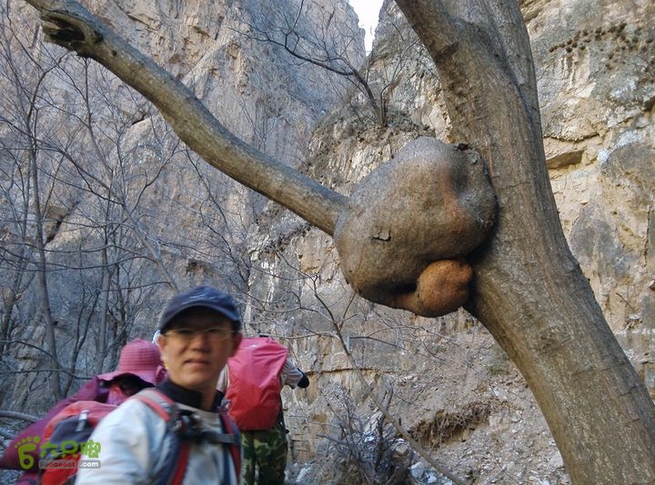 幽州村～水壶沟-天坑-芦子水小庙～向阳口村PIC_20140309_105033_83B