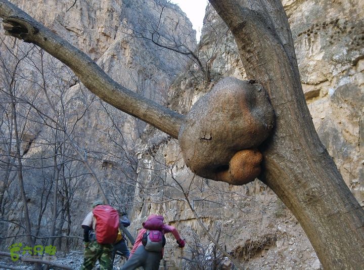 幽州村～水壶沟-天坑-芦子水小庙～向阳口村PIC_20140309_105036_F24
