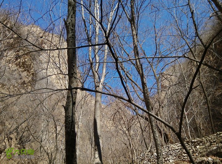 幽州村～水壶沟-天坑-芦子水小庙～向阳口村PIC_20140309_114956_41A