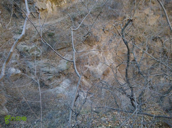 幽州村～水壶沟-天坑-芦子水小庙～向阳口村PIC_20140309_120338_74A