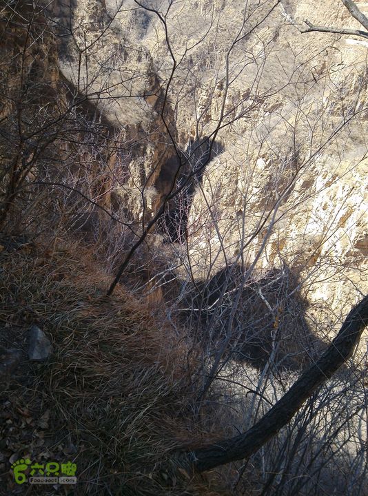 幽州村～水壶沟-天坑-芦子水小庙～向阳口村PIC_20140309_121336_65E