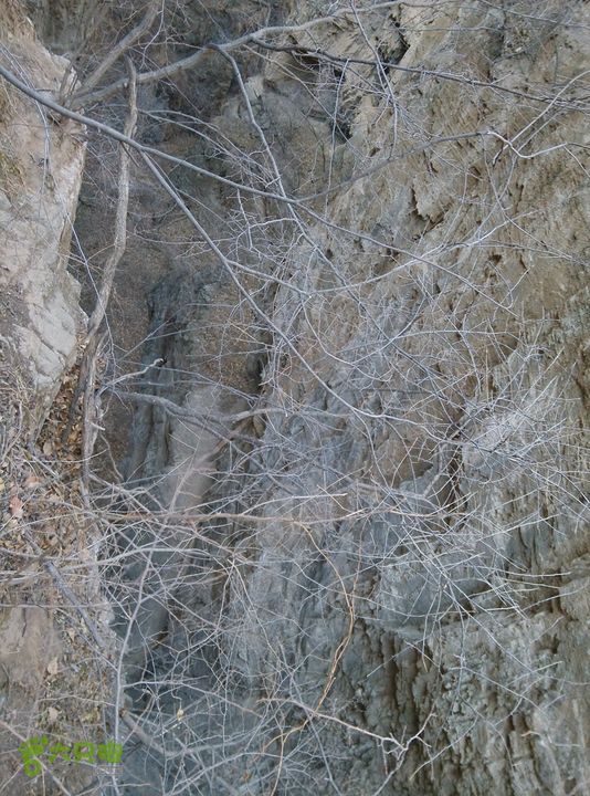 幽州村～水壶沟-天坑-芦子水小庙～向阳口村PIC_20140309_123318_494