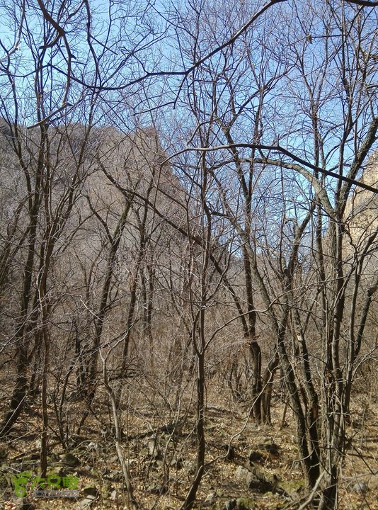 幽州村～水壶沟-天坑-芦子水小庙～向阳口村PIC_20140309_131531_836