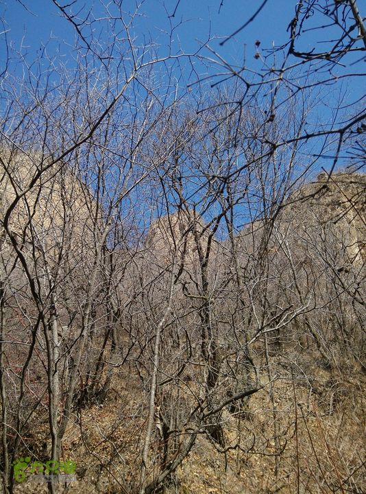 幽州村～水壶沟-天坑-芦子水小庙～向阳口村PIC_20140309_132600_0D1