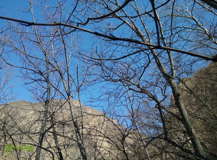 幽州村～水壶沟-天坑-芦子水小庙～向阳口村PIC_20140309_140436_5DF