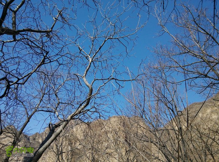 幽州村～水壶沟-天坑-芦子水小庙～向阳口村PIC_20140309_140441_3CA