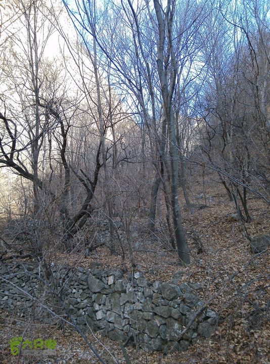 幽州村～水壶沟-天坑-芦子水小庙～向阳口村PIC_20140309_143349_716